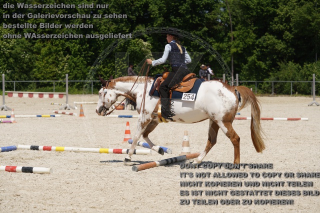 s_K3F02088.JPG